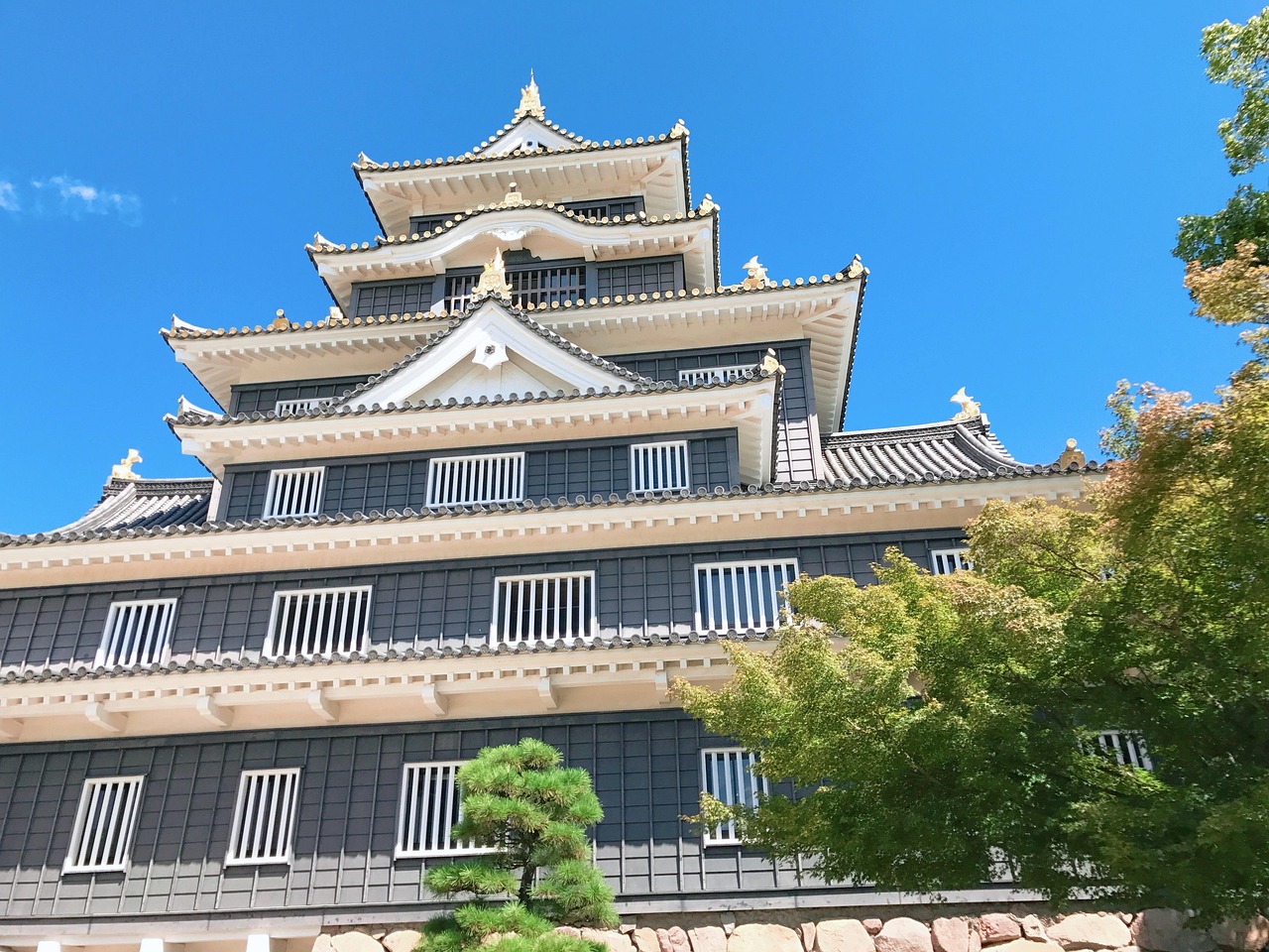 岡山の無制限WiFiを比較して最適なプランを見つけるには？