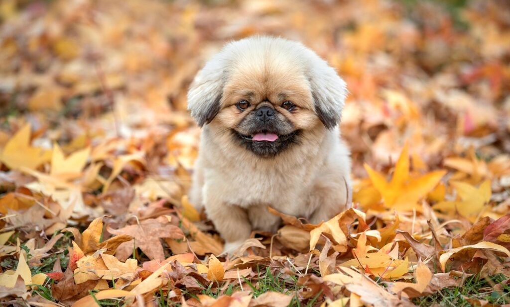 SoftBankの高知でネットが遅い原因と対策は？