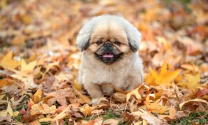 SoftBankの高知でネットが遅い原因と対策は？