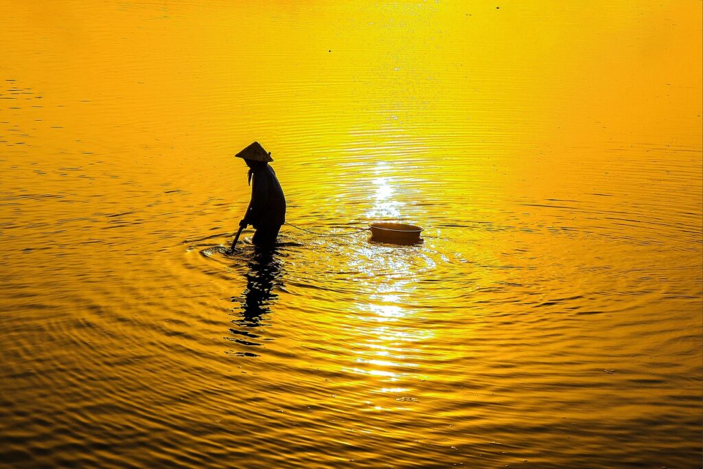 softbankと高知の料金プラン比較はどれがお得？