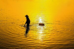 softbankと高知の料金プラン比較はどれがお得？