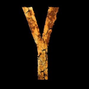 y!mobileの佐賀でのインターネット速度はどのくらい？