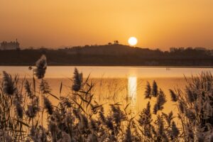 新潟での無制限WiFiサービスの比較ポイントは？