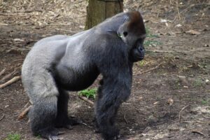 地域別Wi-Fi比較2025最新のおすすめプロバイダーは？