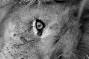 自宅のWi-Fiを地域マップで比較する方法は？