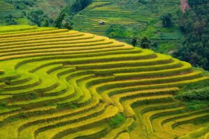 田舎で使えるポケットwifiのおすすめは？